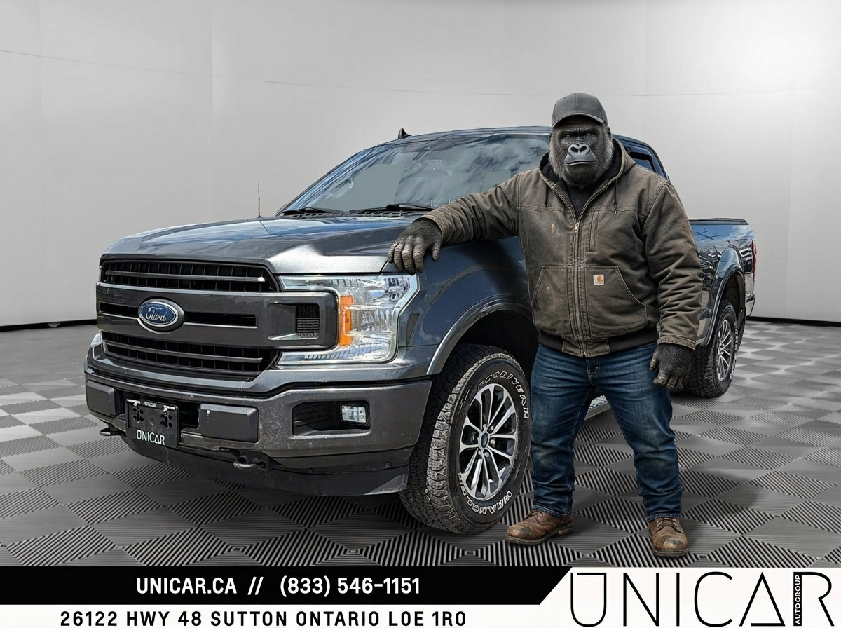 2019 Ford F-150 XLT