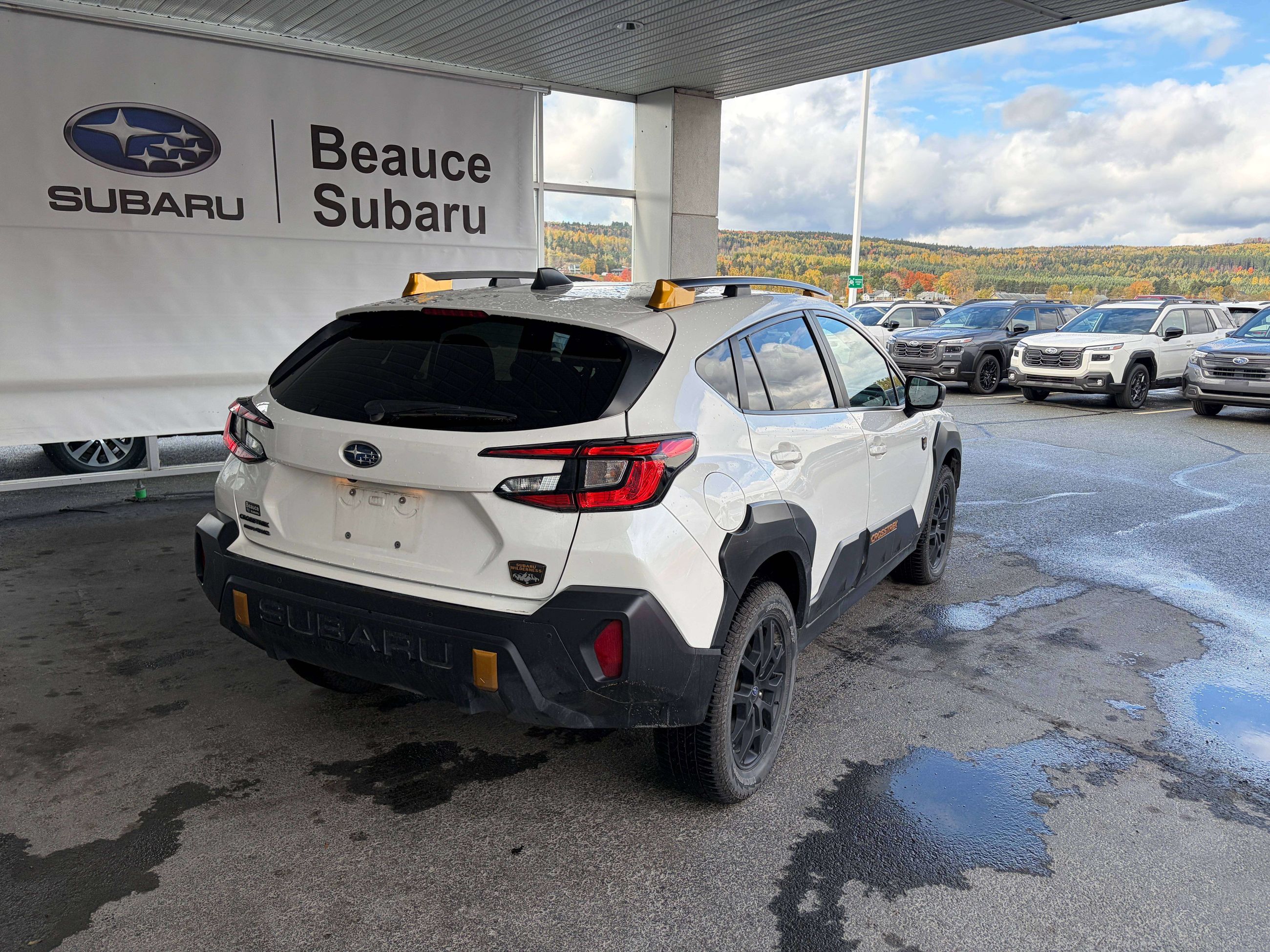 Photo 2025 Subaru Crosstrek Wilderness #3