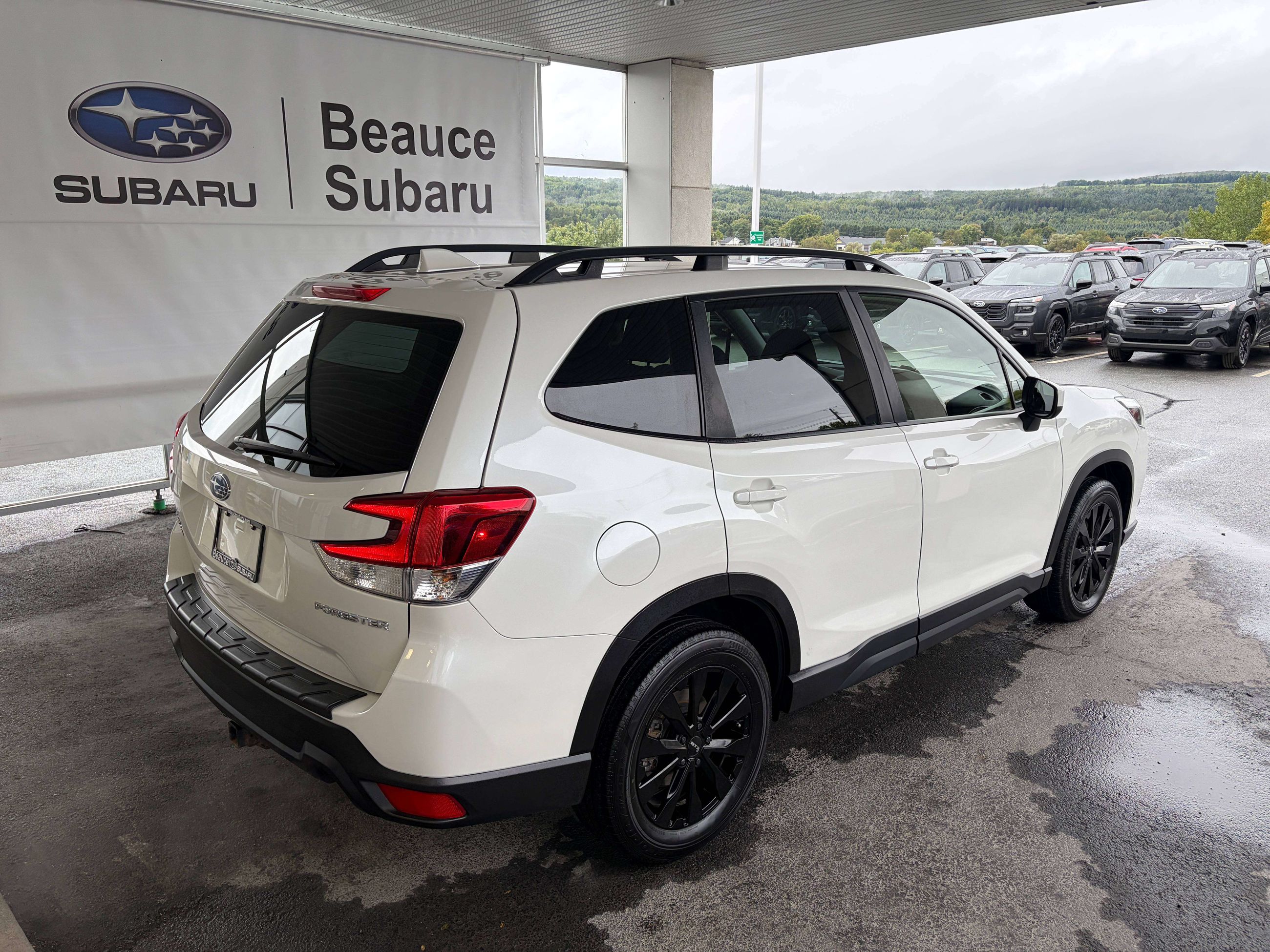 Photo 2023 Subaru Forester #4