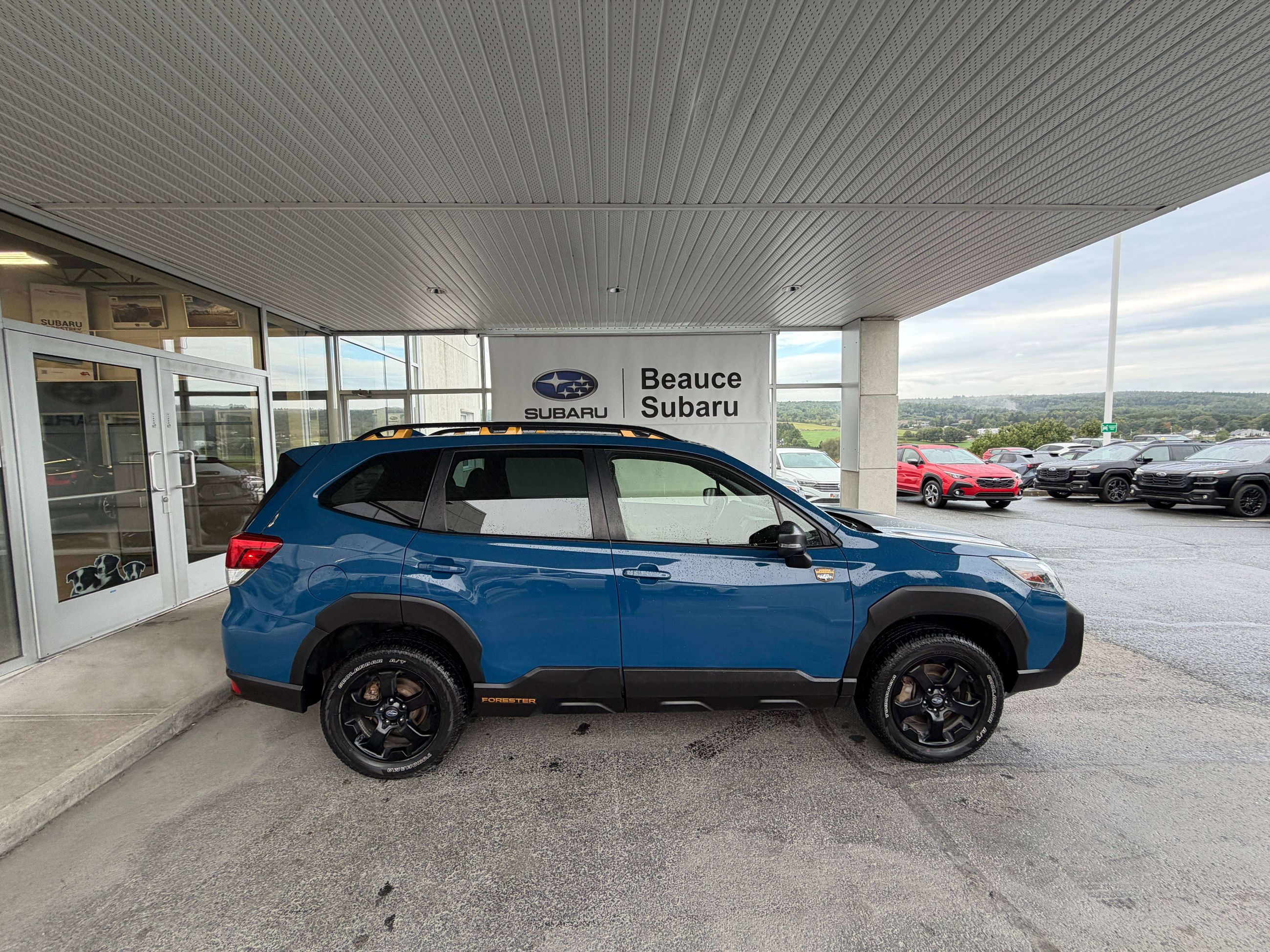 Photo Subaru Forester Wilderness 2023 #2