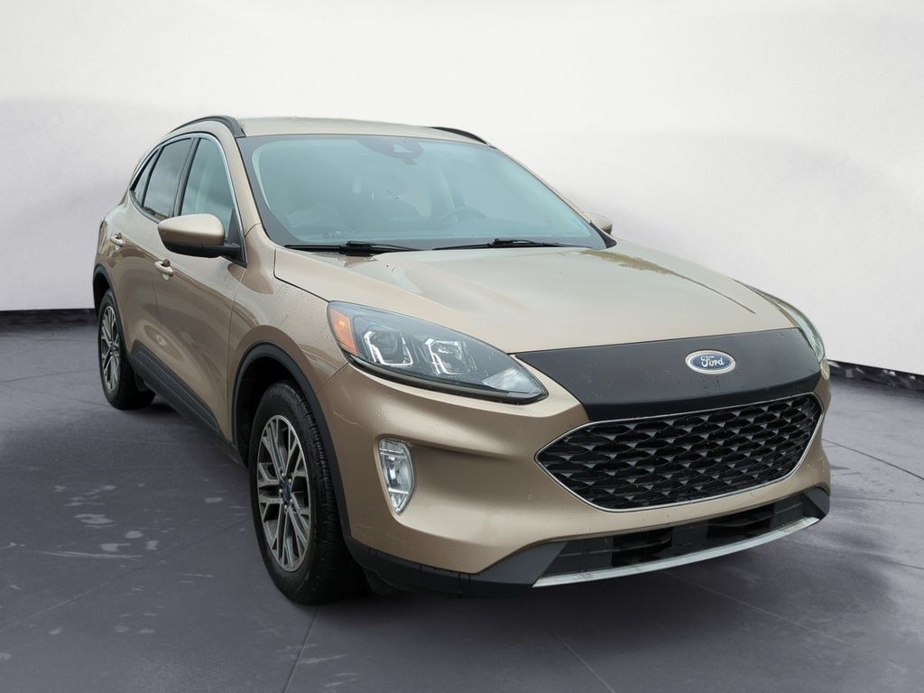 2020 Ford Escape SEL   1.5L EcoBoost   AWD