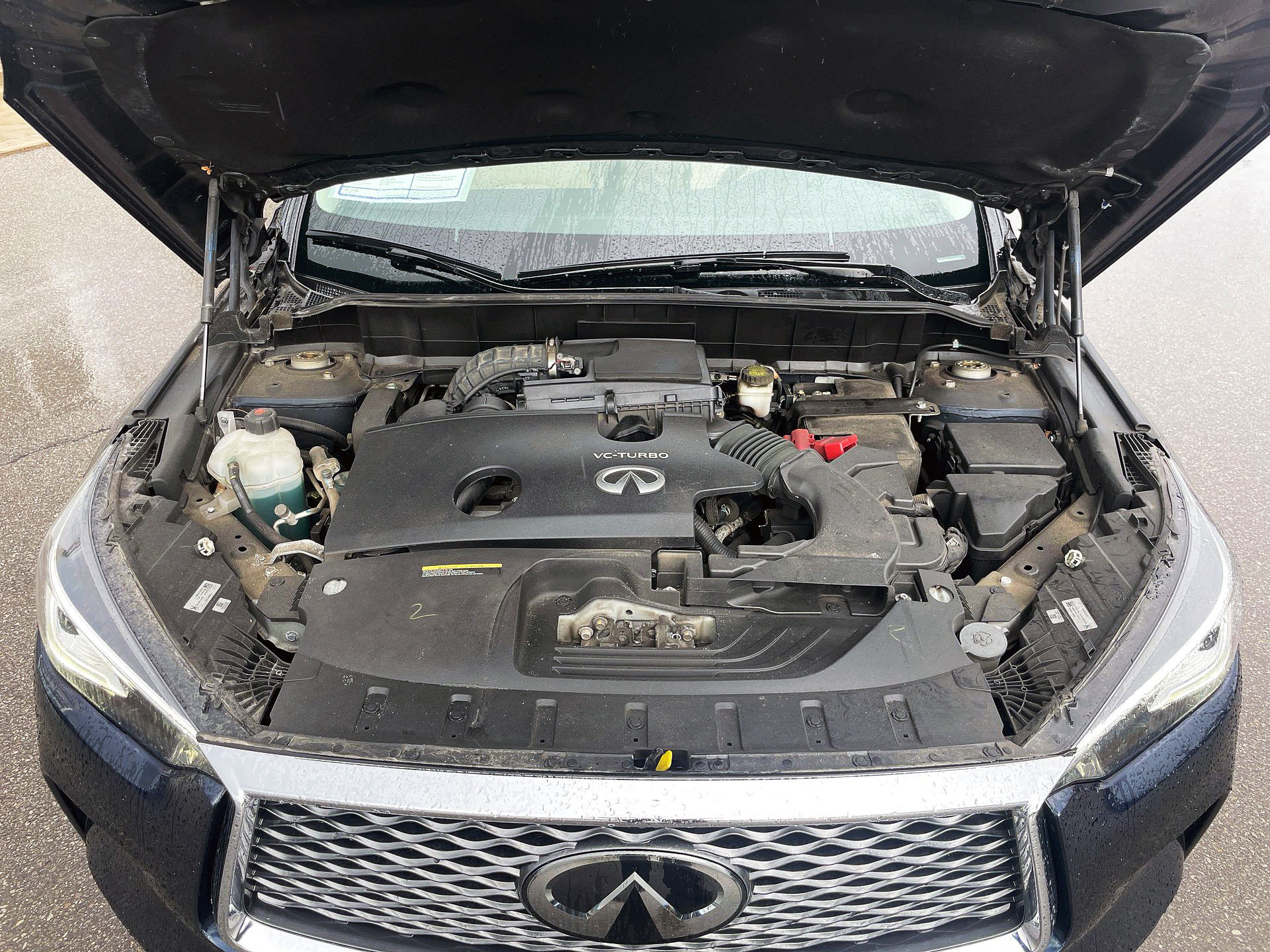 Infiniti QX50  2020 à Woodbridge, Ontario