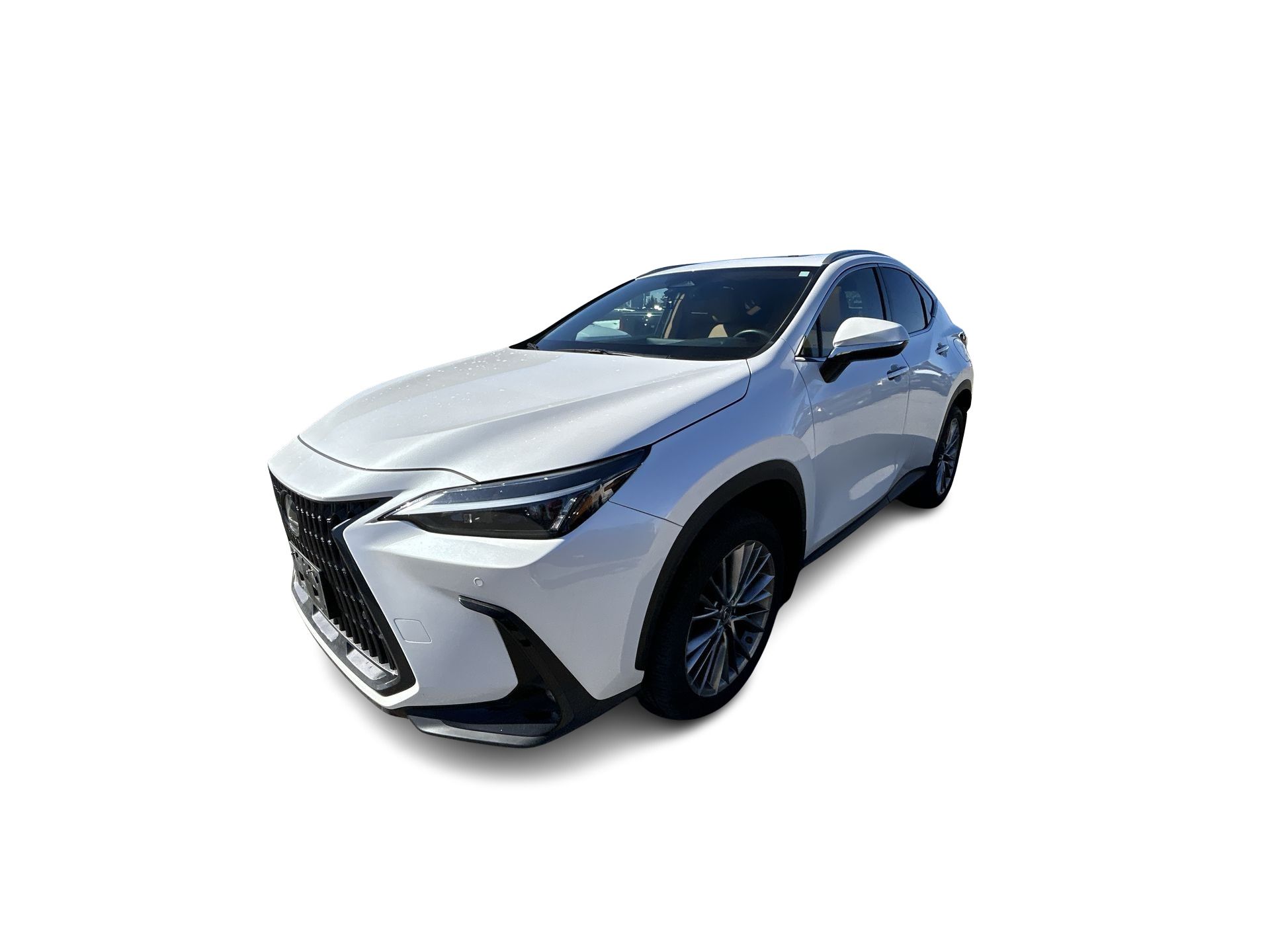 2022 Lexus NX in Woodbridge, Ontario