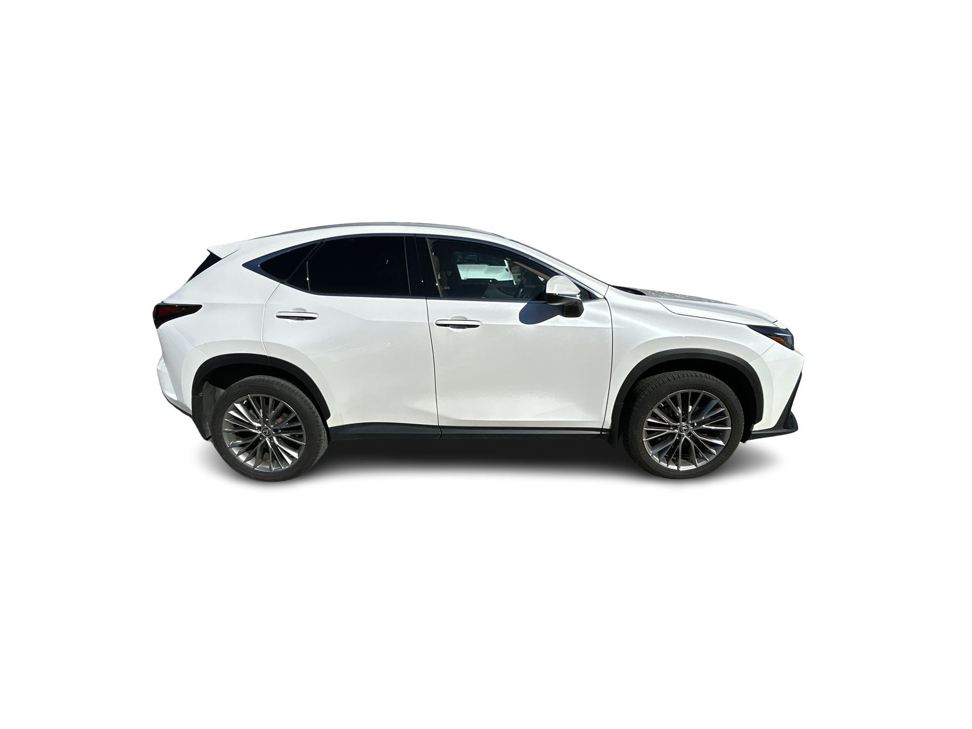 2022 Lexus NX in Woodbridge, Ontario
