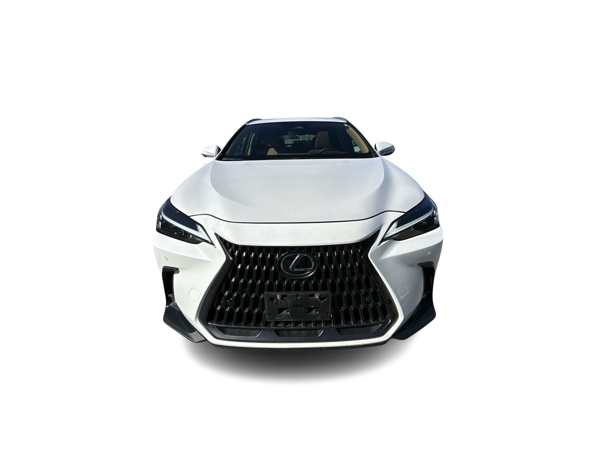 2022 Lexus NX in Woodbridge, Ontario