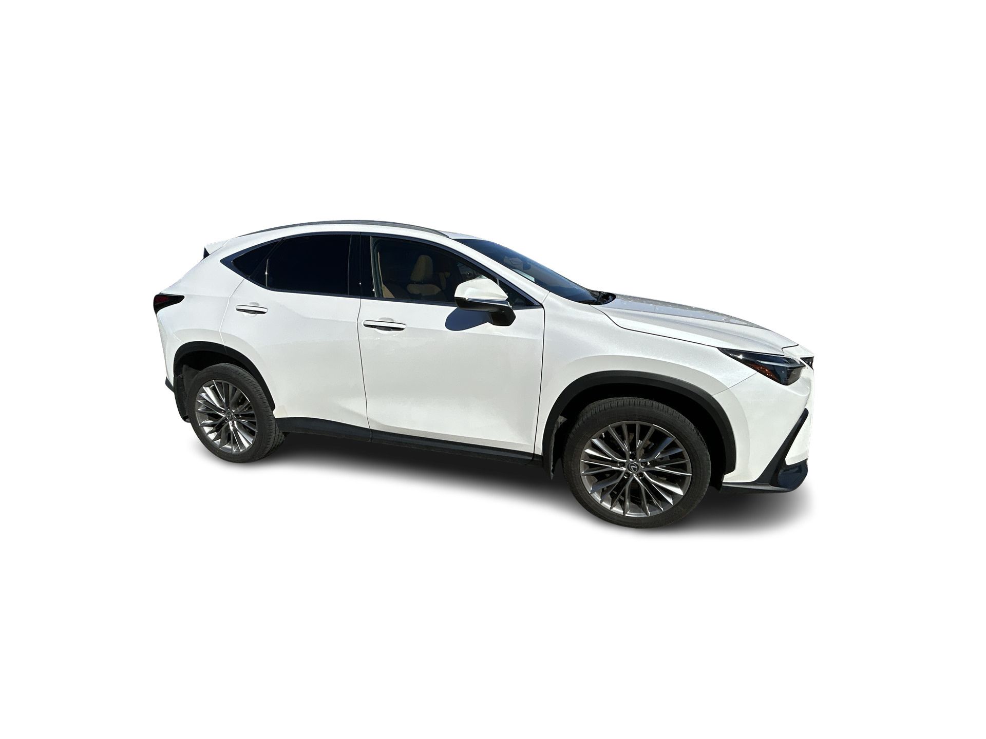 2022 Lexus NX in Woodbridge, Ontario