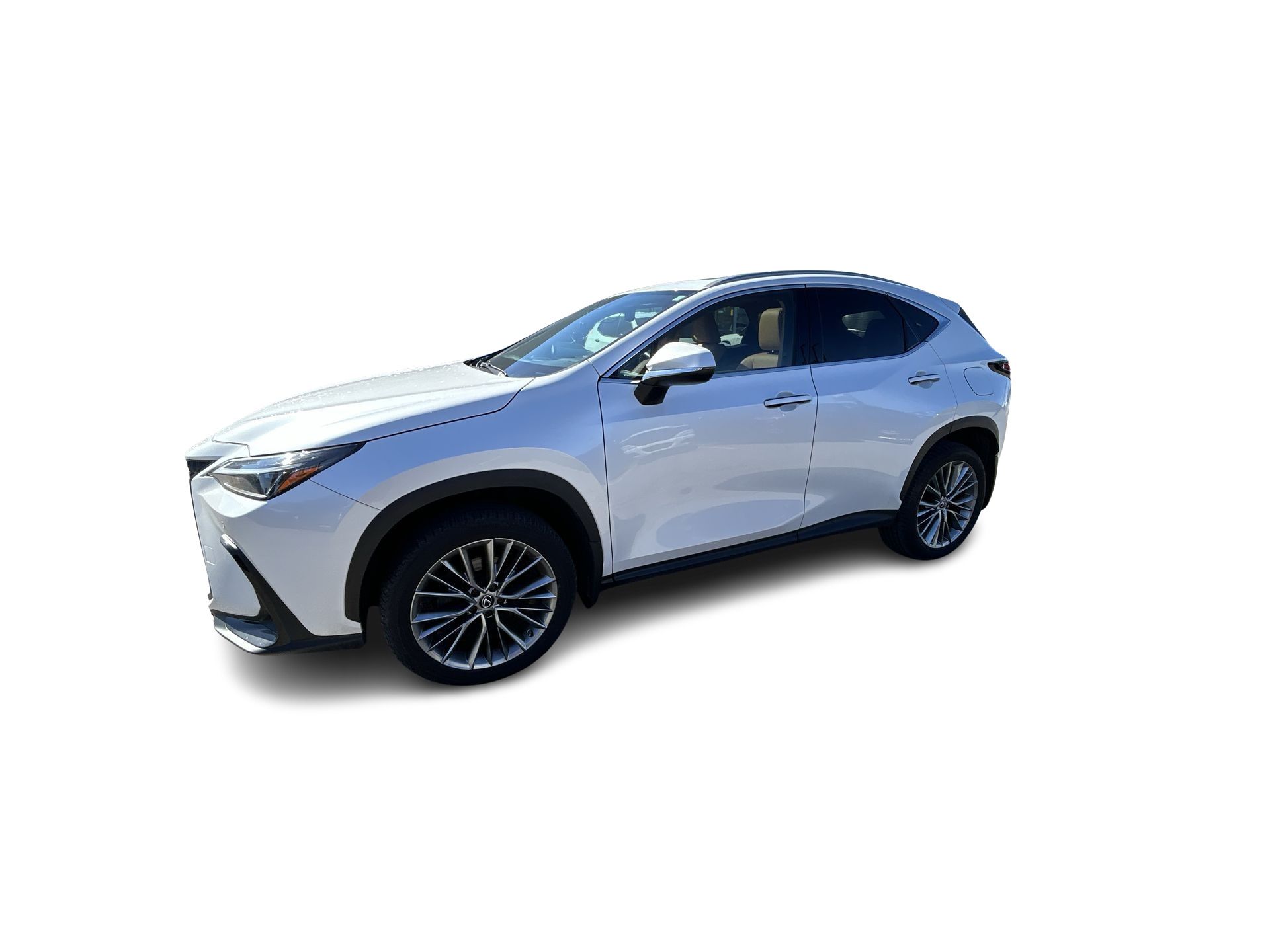 2022 Lexus NX in Woodbridge, Ontario