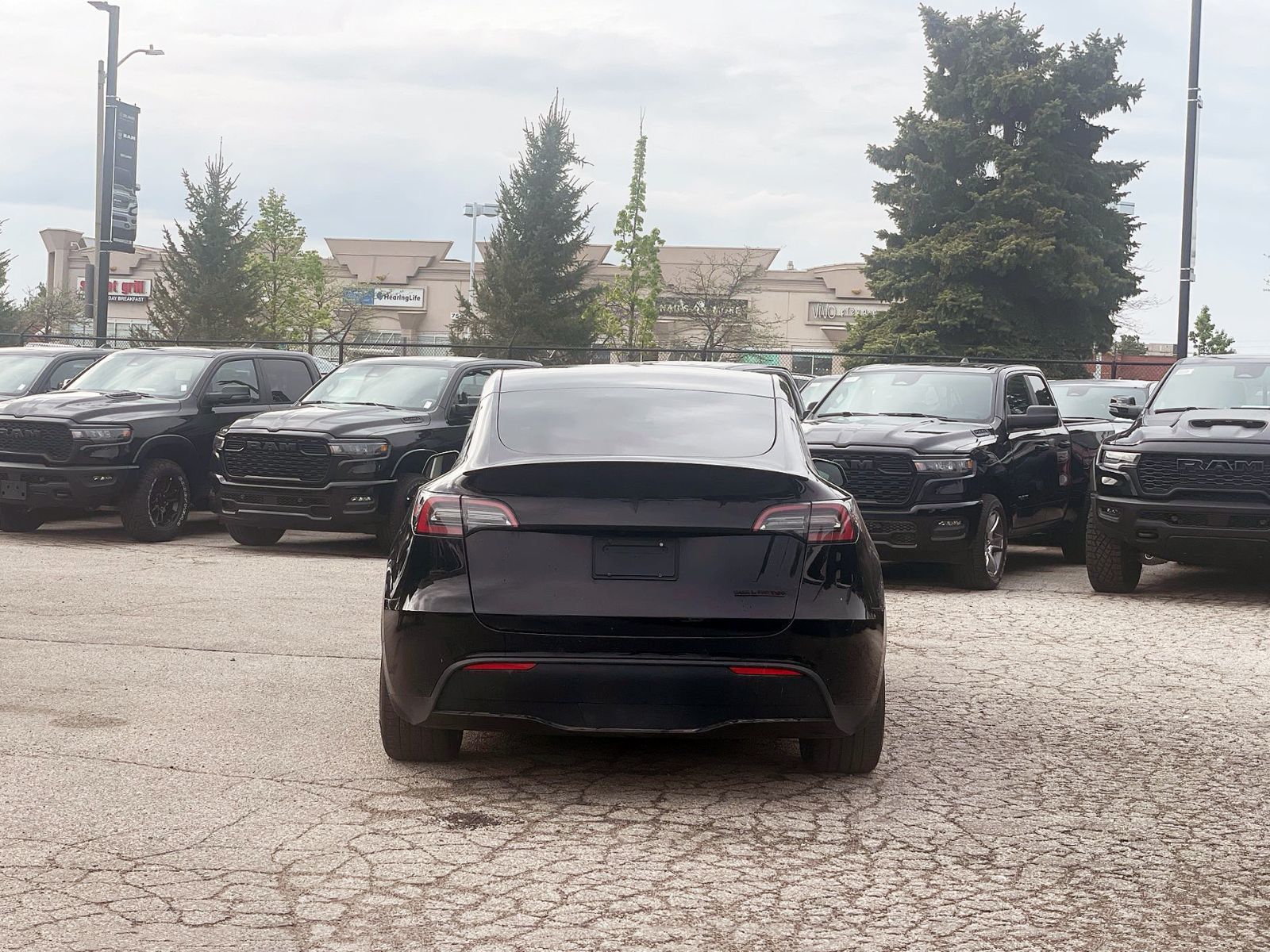 Tesla Model Y  2022 à Woodbridge, Ontario