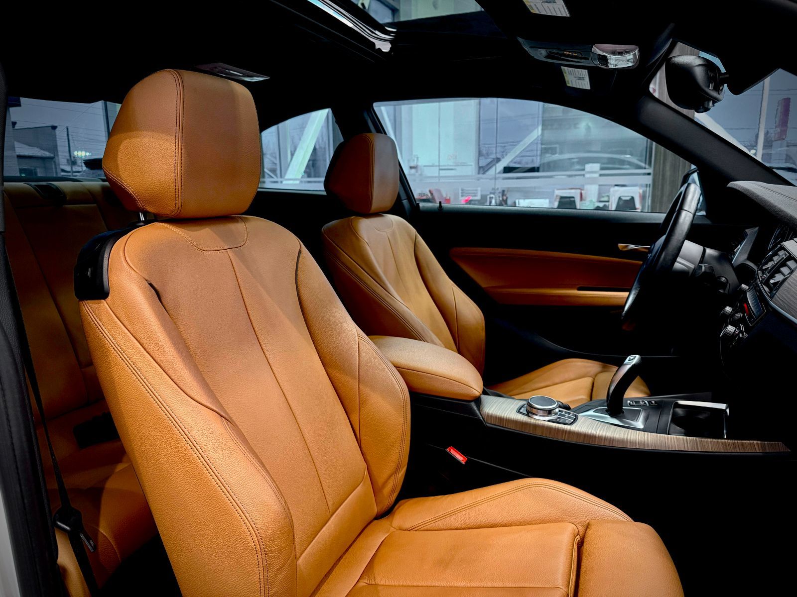 BMW 2 Series 230i xDrive 2018-17