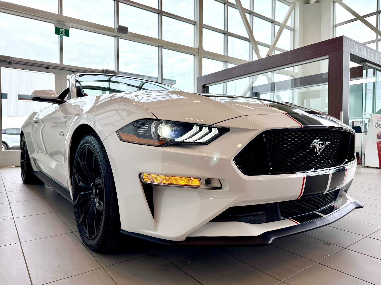 Ford Mustang GT Premium 2019-9