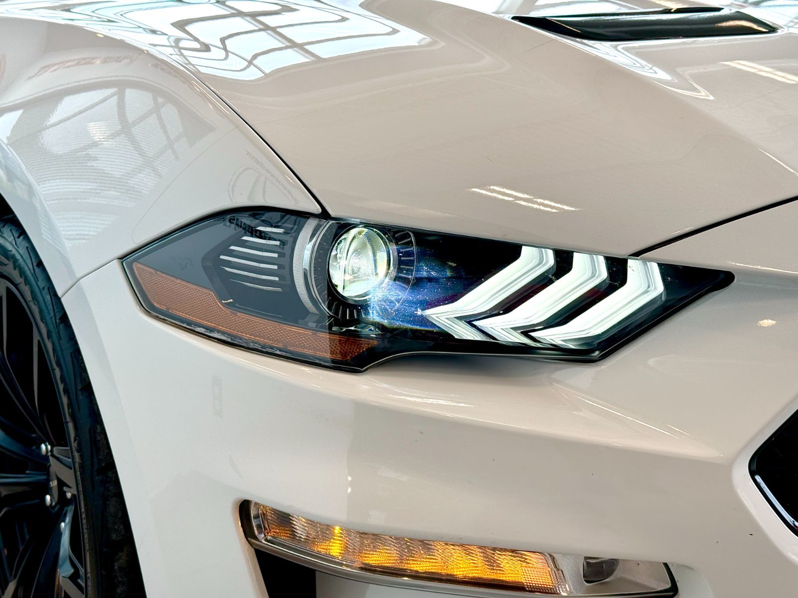 Ford Mustang GT Premium 2019-10