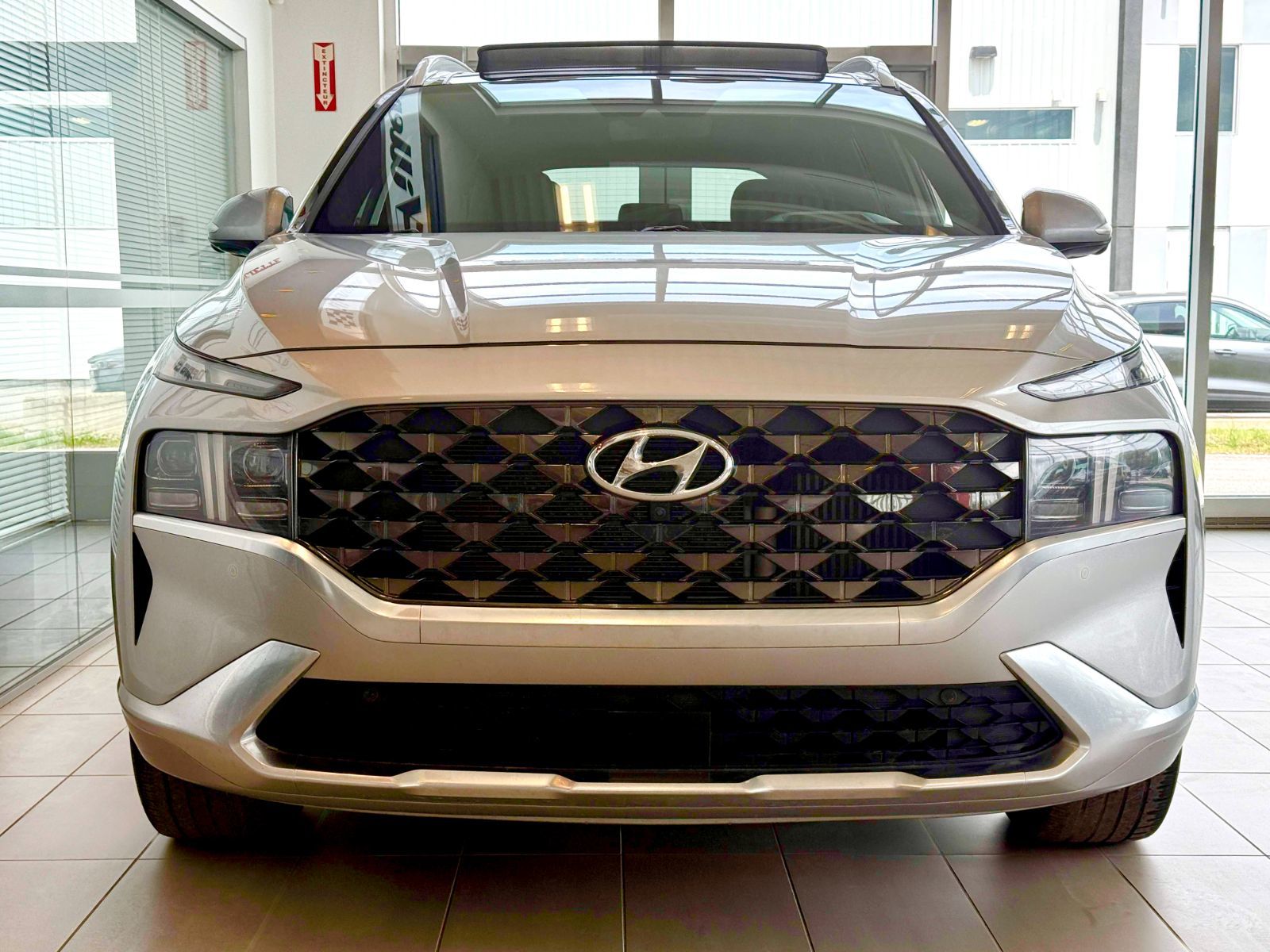 2021 Hyundai Santa Fe Ultimate Calligraphy-4