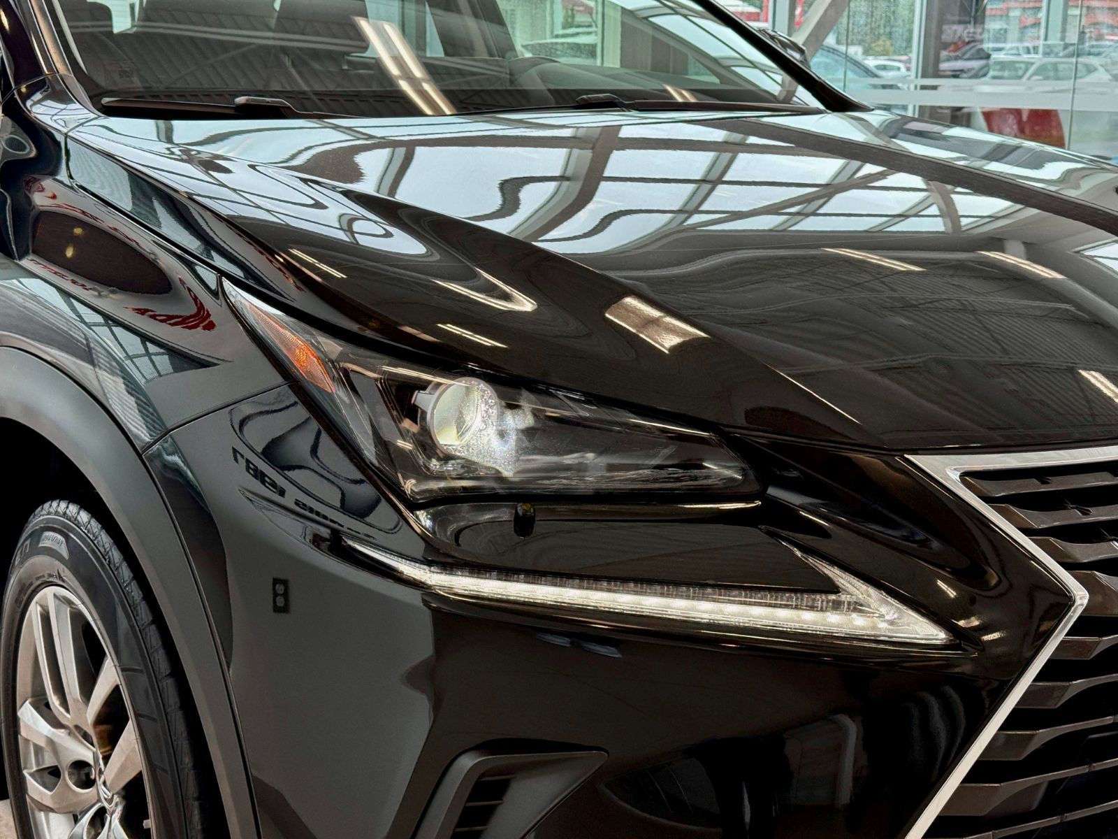 Lexus NX 300 2020-7