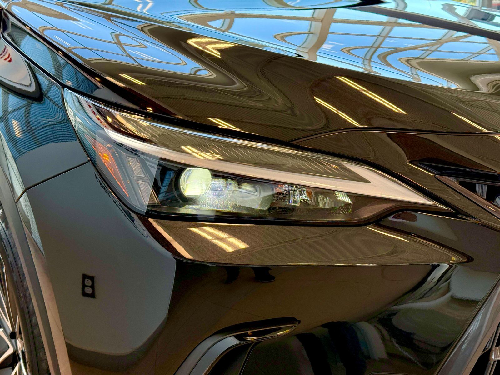 Lexus NX 250 Signature 2023-7