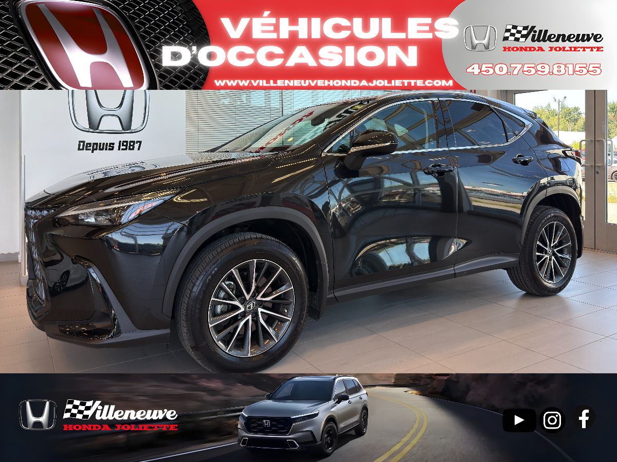 Lexus NX 250 Signature 2023-0