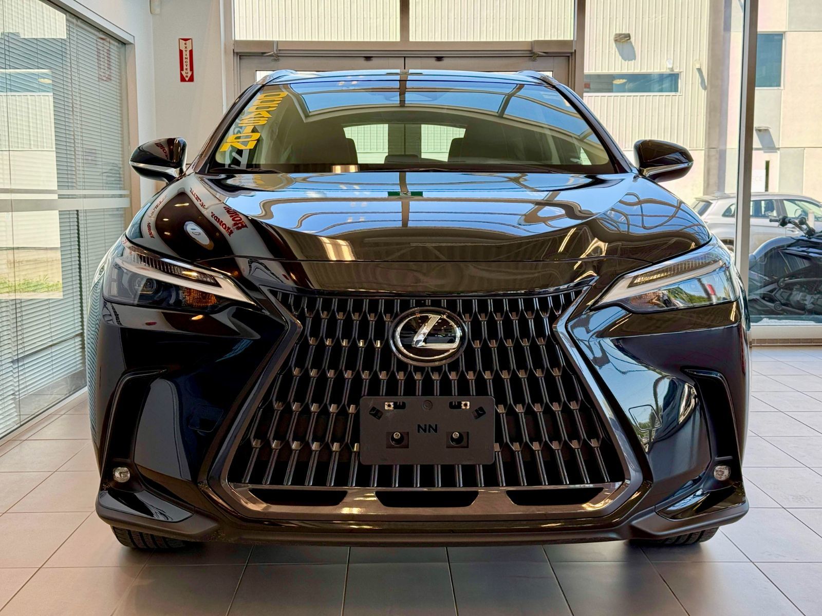 Lexus NX 250 Signature 2023-5