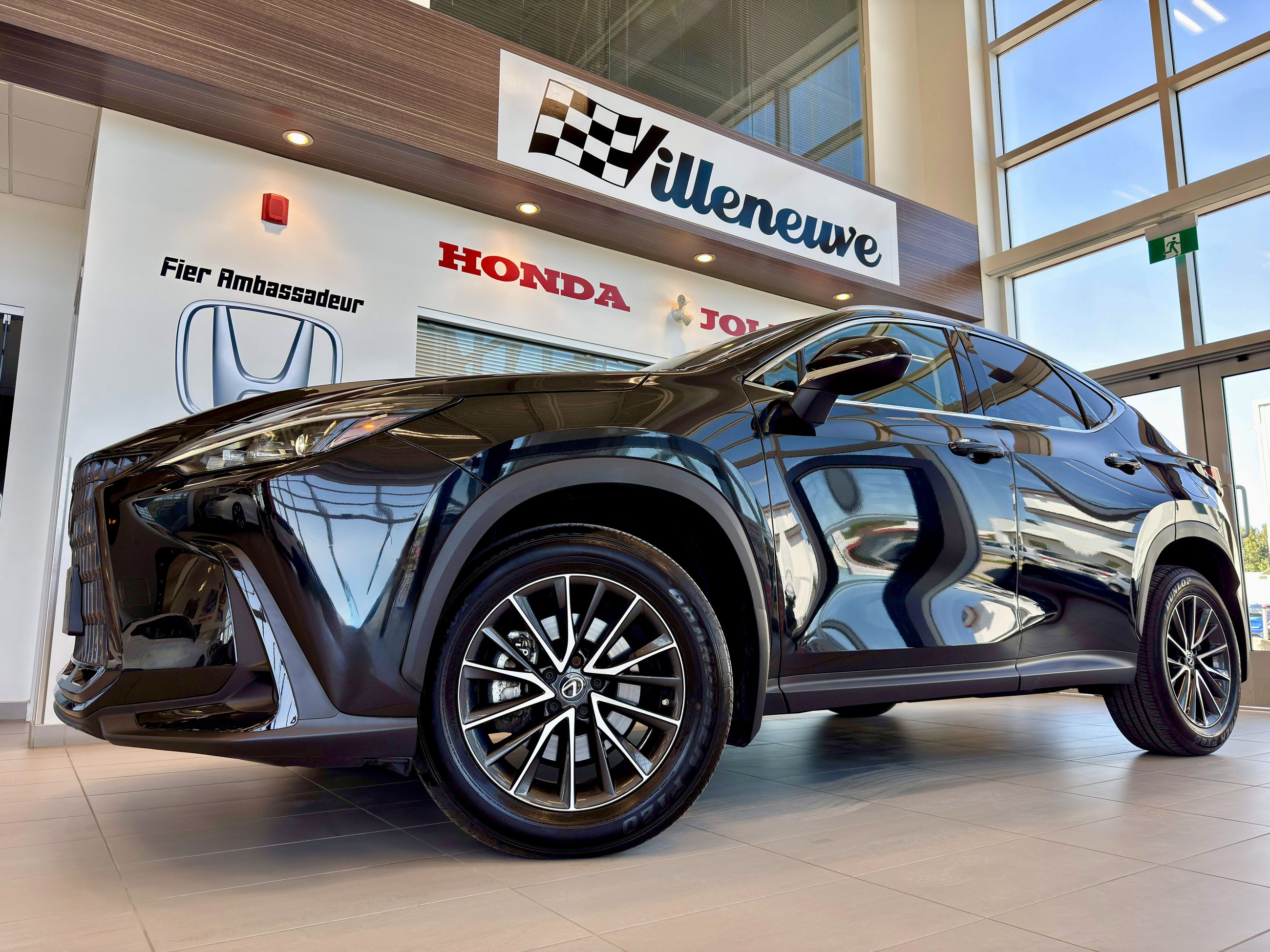 Lexus NX 250 Signature 2023-1