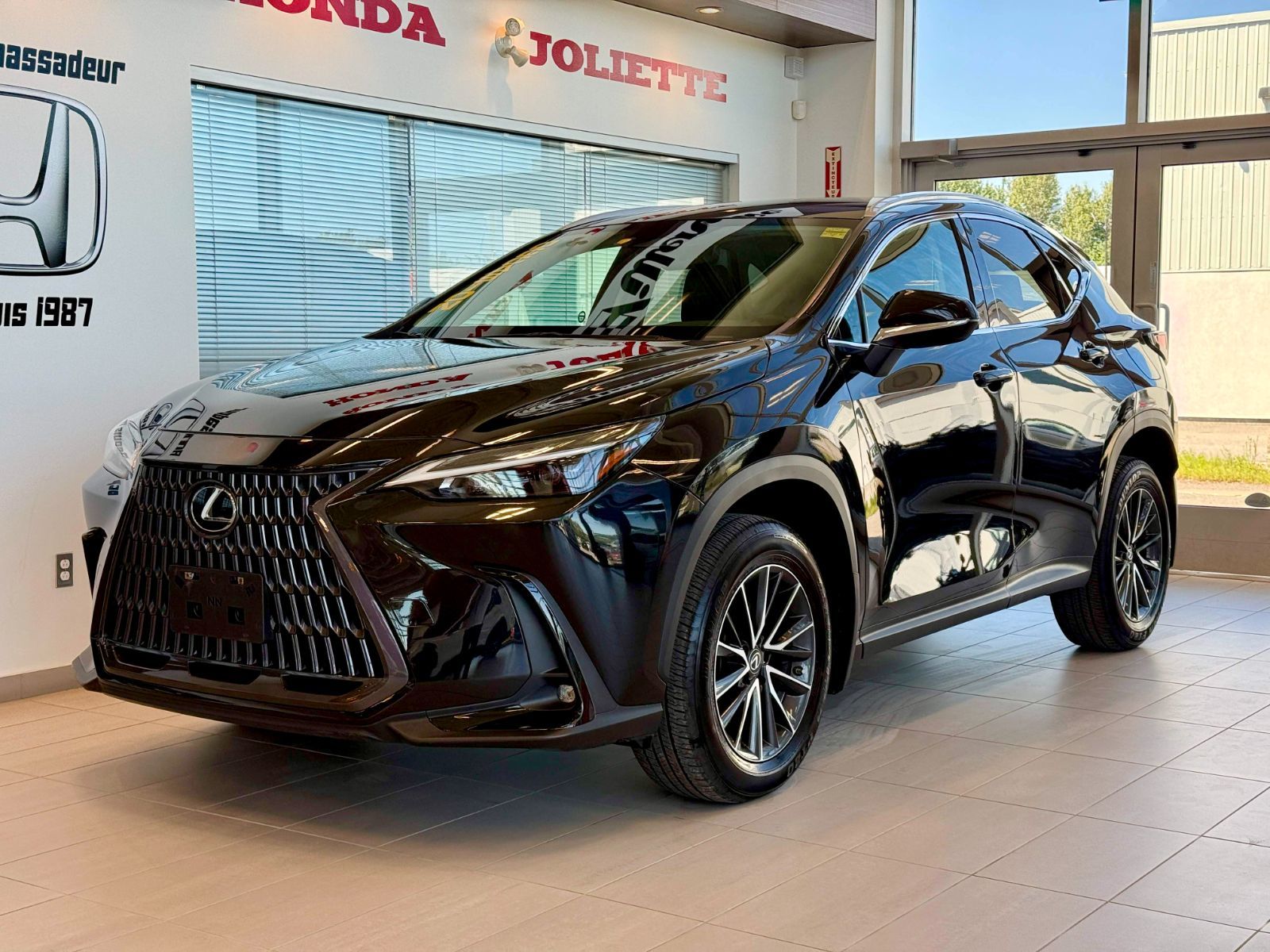 Lexus NX 250 Signature 2023-3
