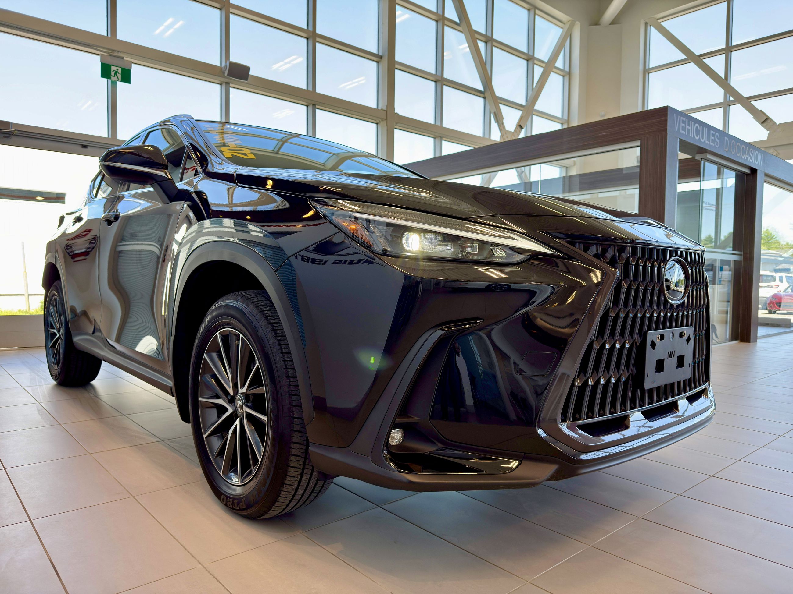 Lexus NX 250 Signature 2023-8