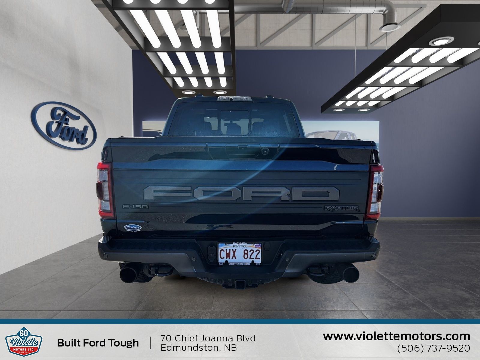 Photo Ford F-150 Raptor 2022 #6