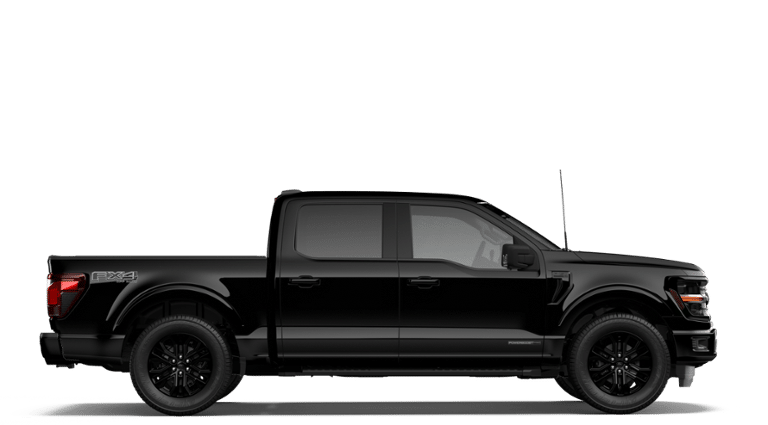 Photo 2026 Ford F-150 XLT #5
