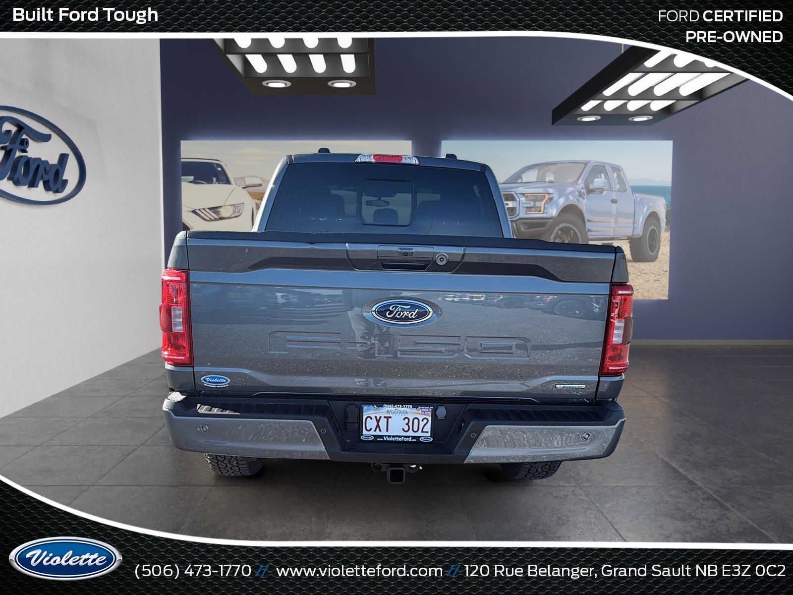 Photo 2023 Ford F-150 XLT #3