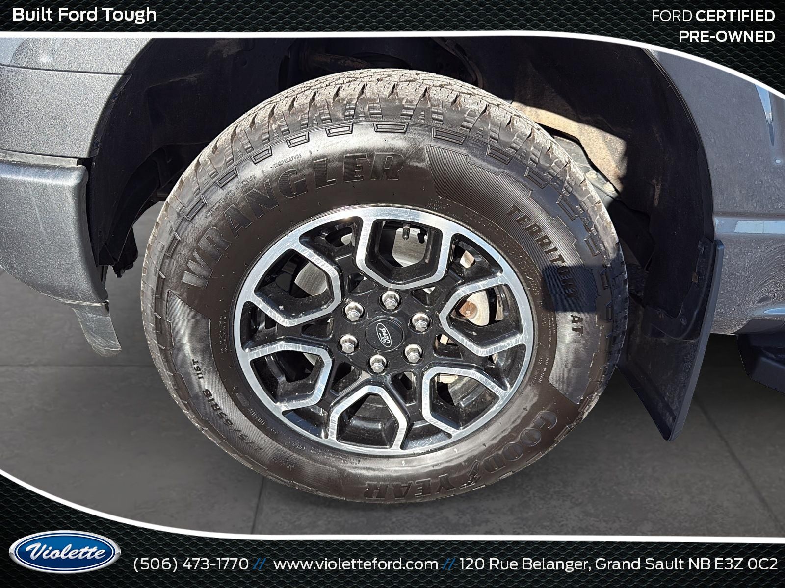 Photo 2023 Ford F-150 XLT #7