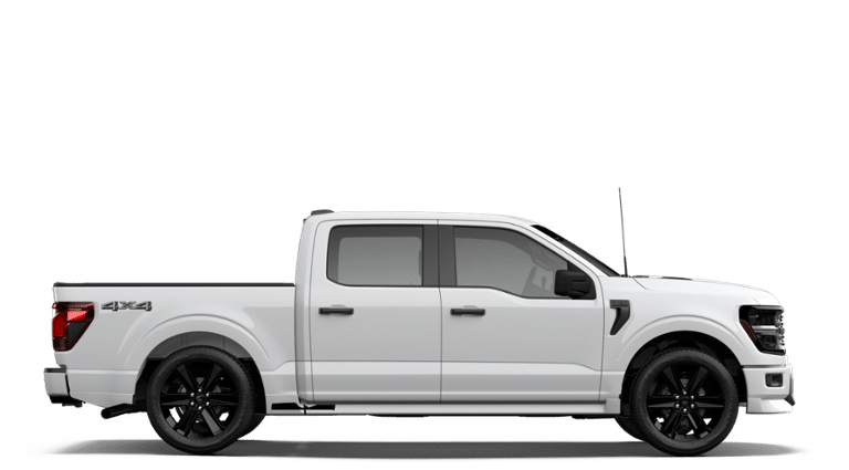 Photo 2026 Ford F-150 STX #5