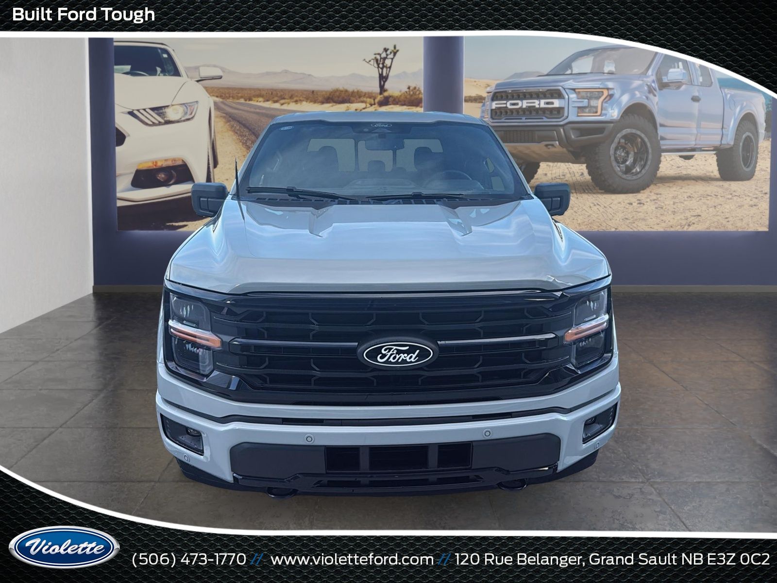 Photo Ford F-150 XLT 2026 #2