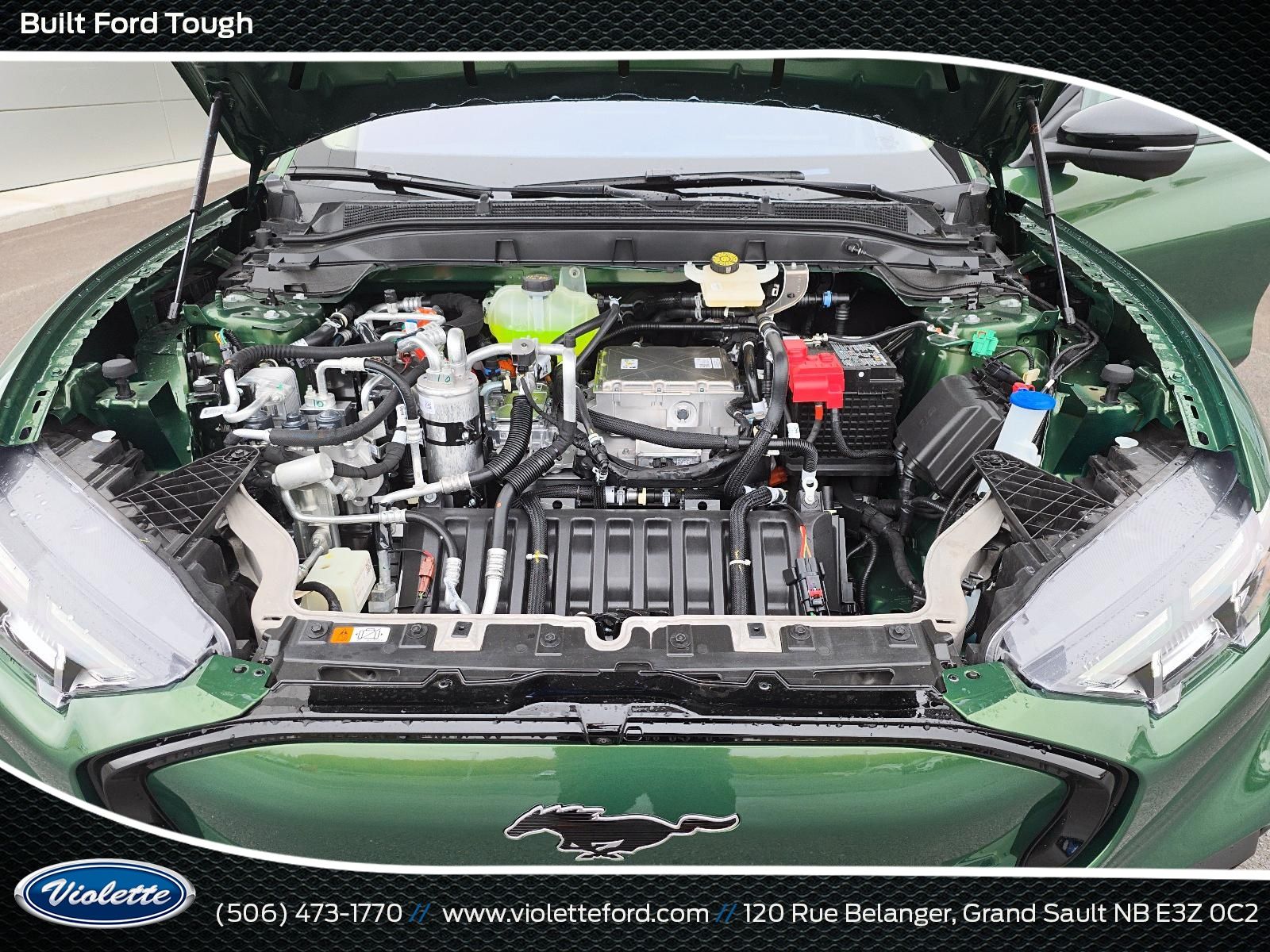 Photo 2026 Ford Mustang Mach-E Premium #8