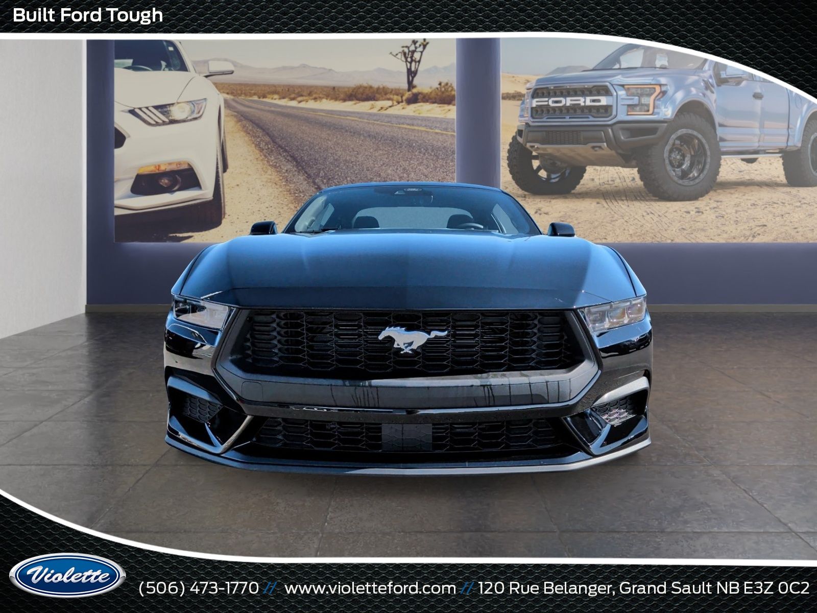 Photo 2026 Ford Mustang EcoBoost #2