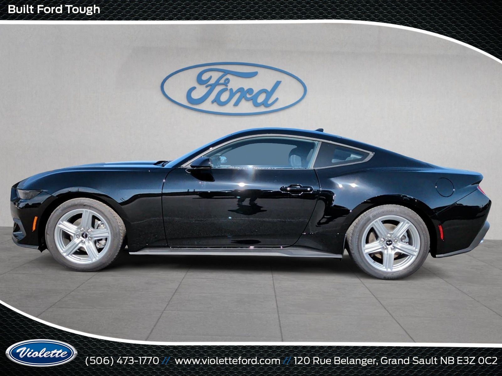 Photo 2026 Ford Mustang EcoBoost #5