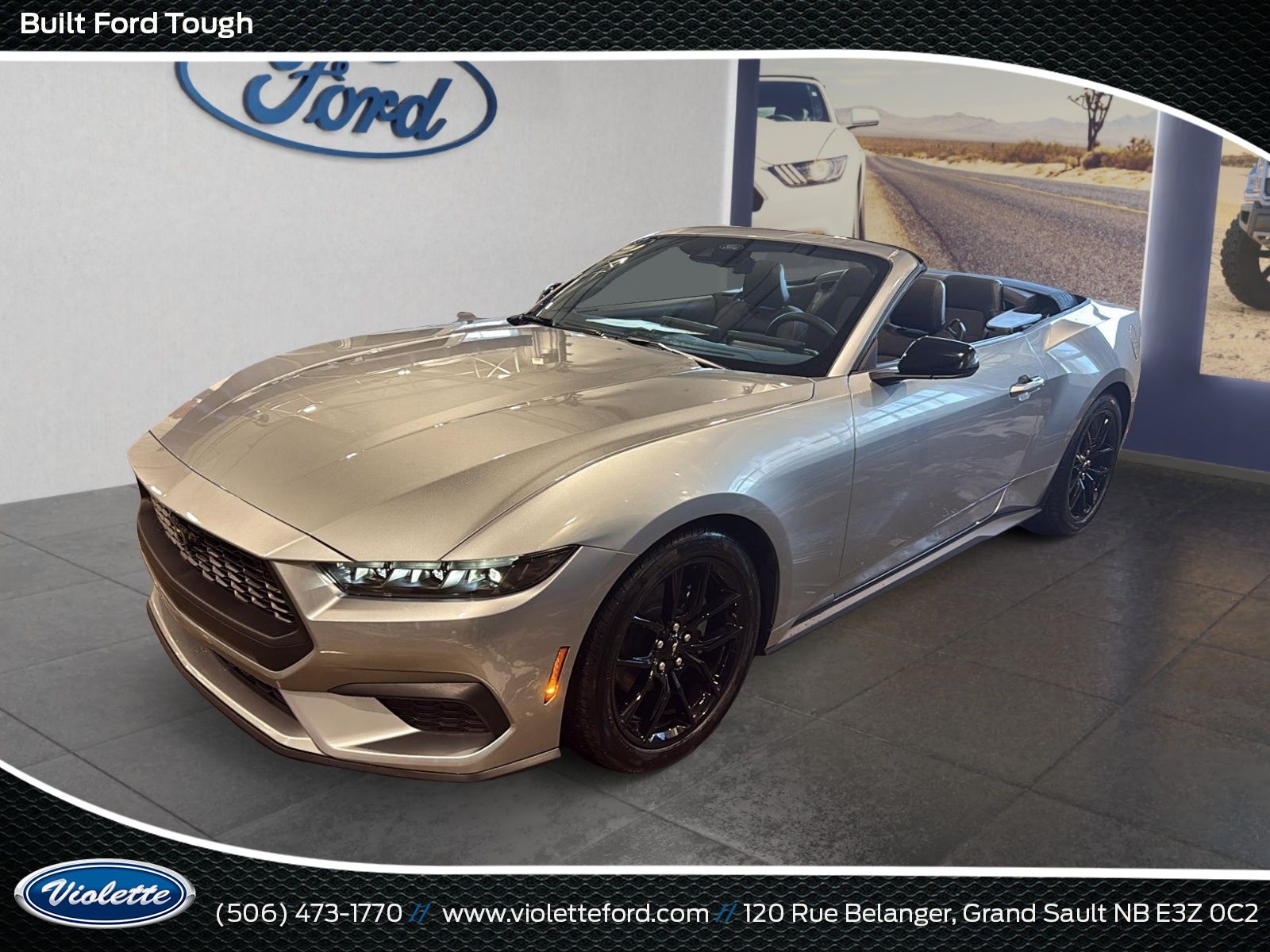 Photo Ford Mustang EcoBoost 2026 #2