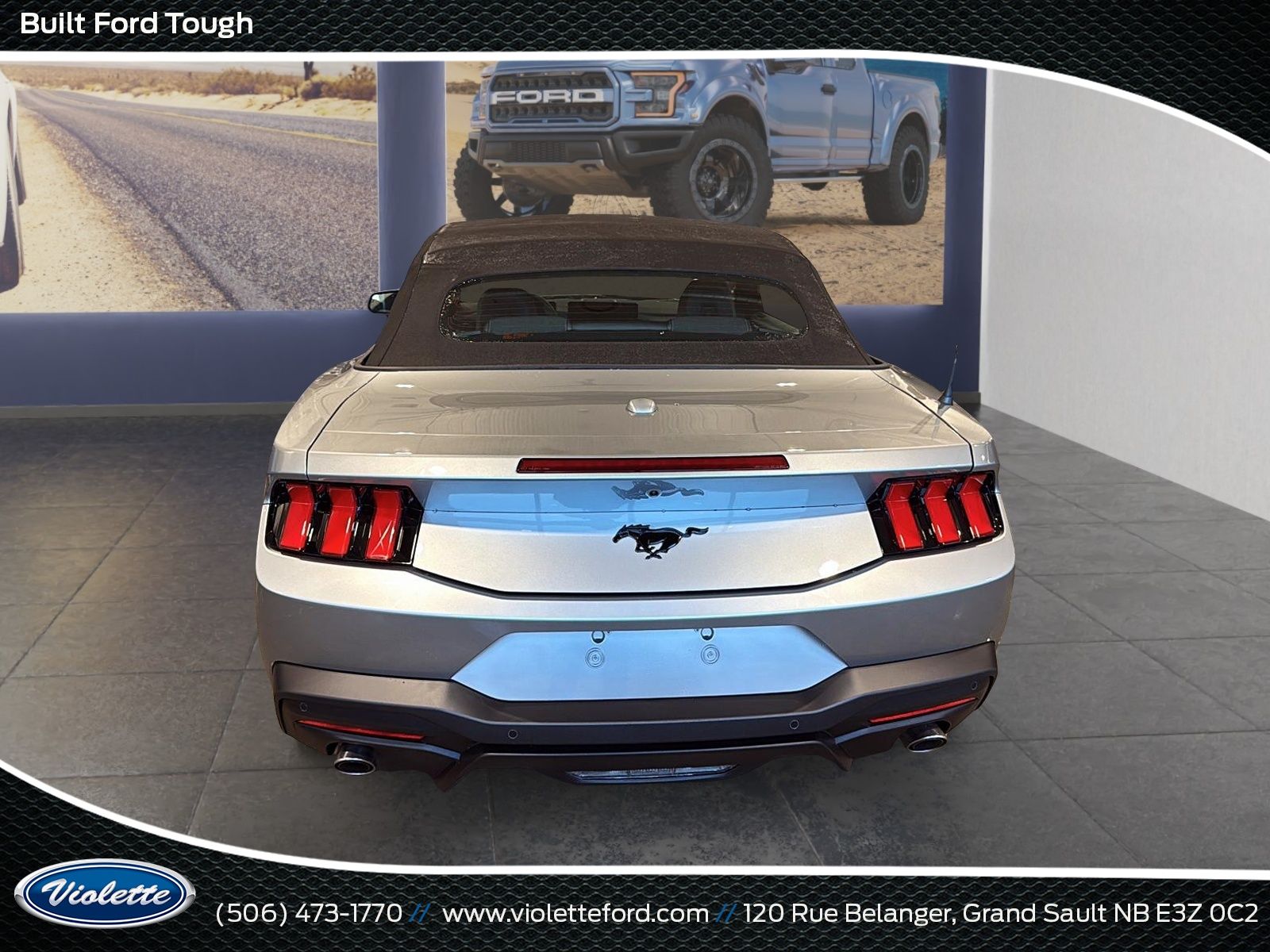 Photo Ford Mustang EcoBoost 2026 #6