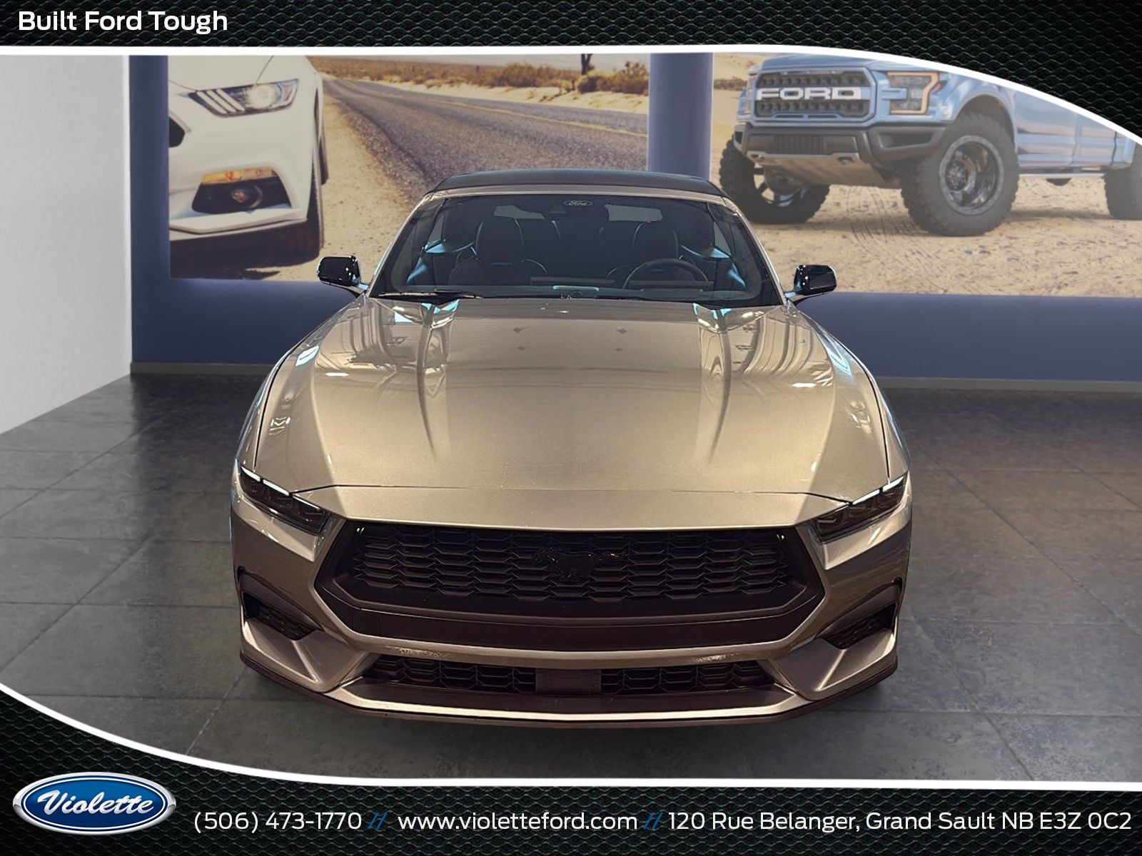 Photo Ford Mustang EcoBoost 2026 #5