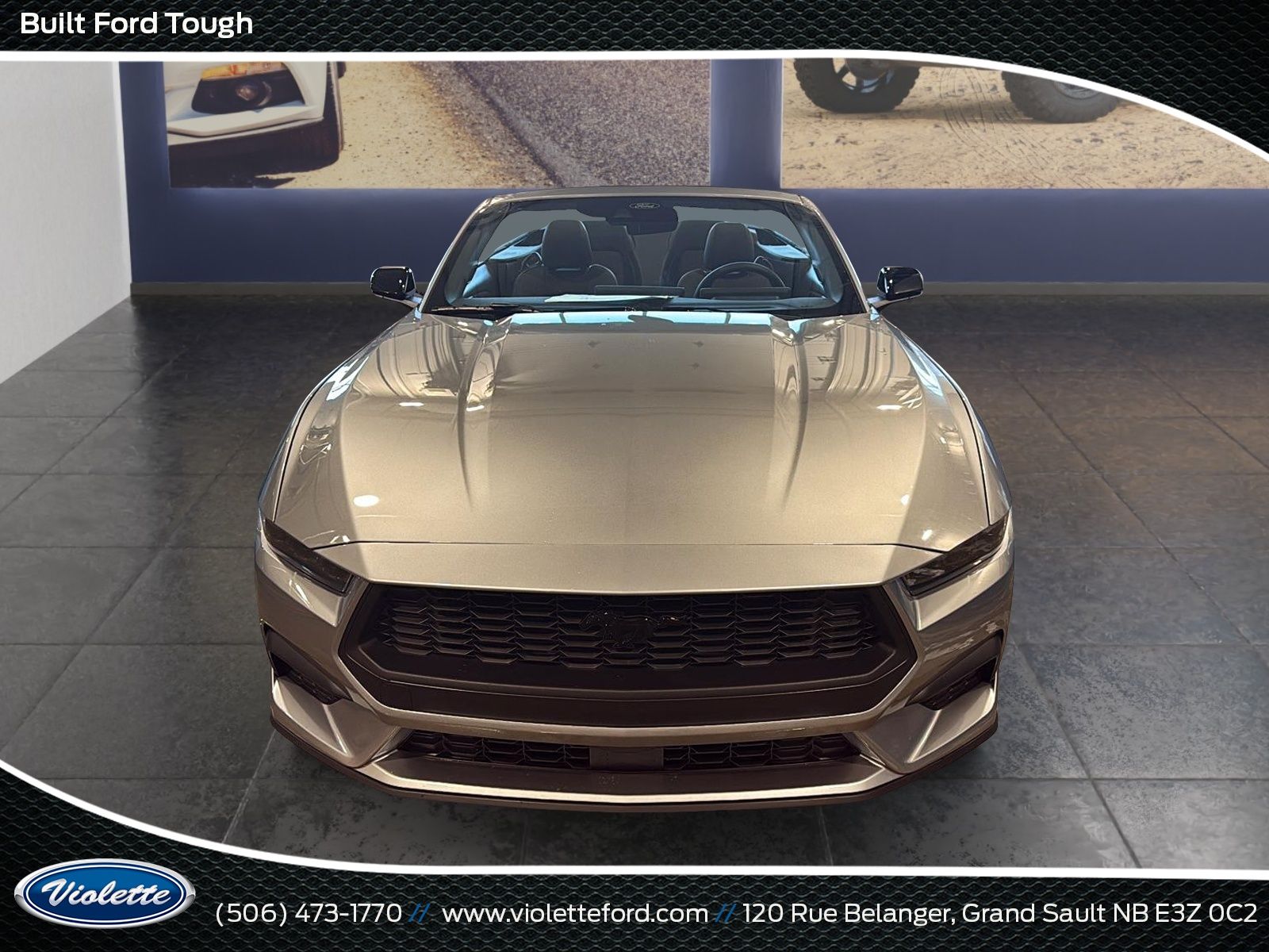 Photo Ford Mustang EcoBoost 2026 #3