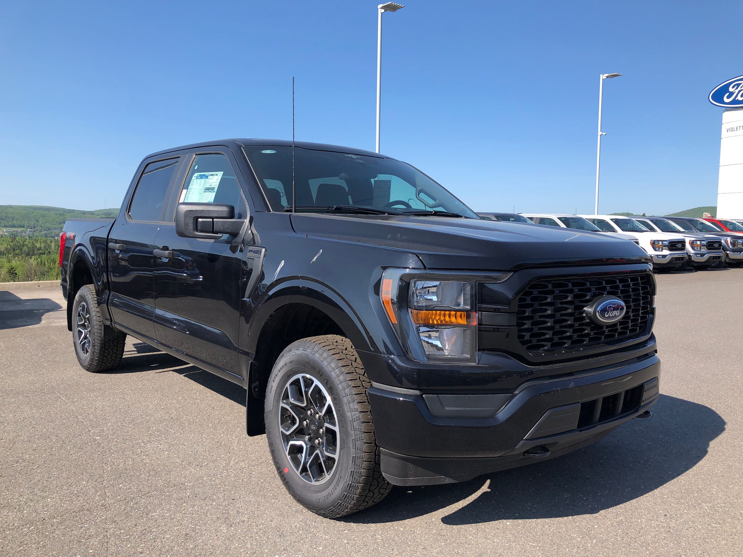 Violette Ford Grand Falls in Grand