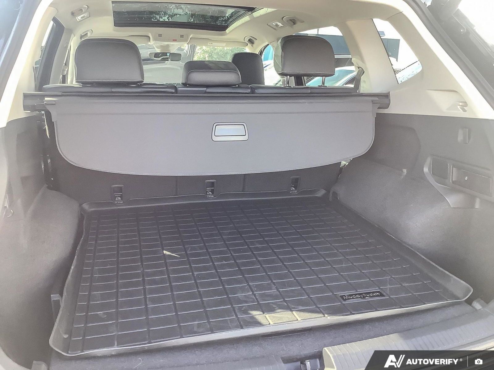 2024 Volkswagen Tiguan Comfortline
