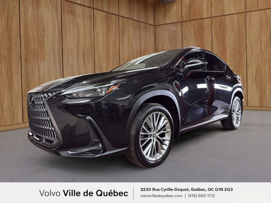 2024 Lexus NX-Series
