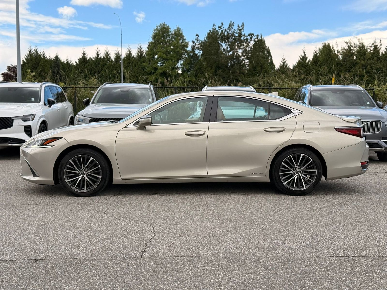 2022 Lexus ES in Richmond, British Columbia