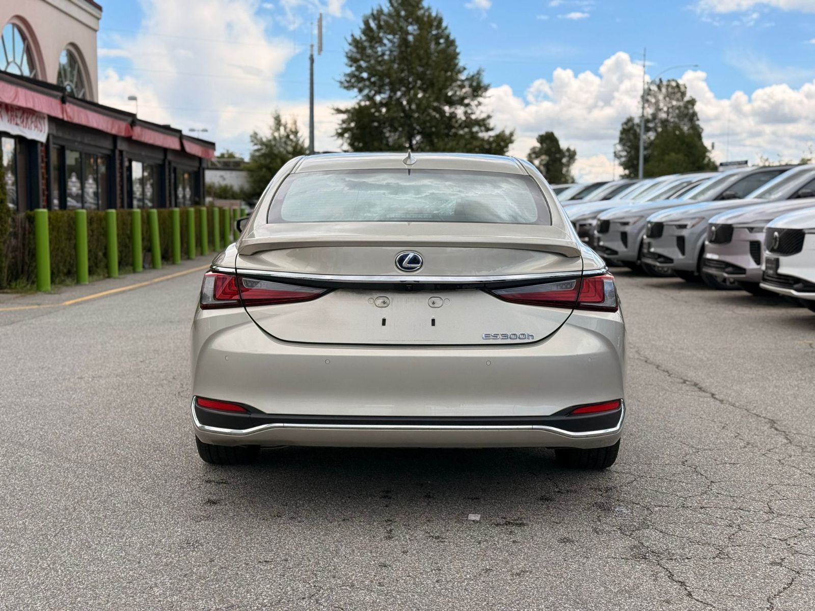 2022 Lexus ES in Richmond, British Columbia
