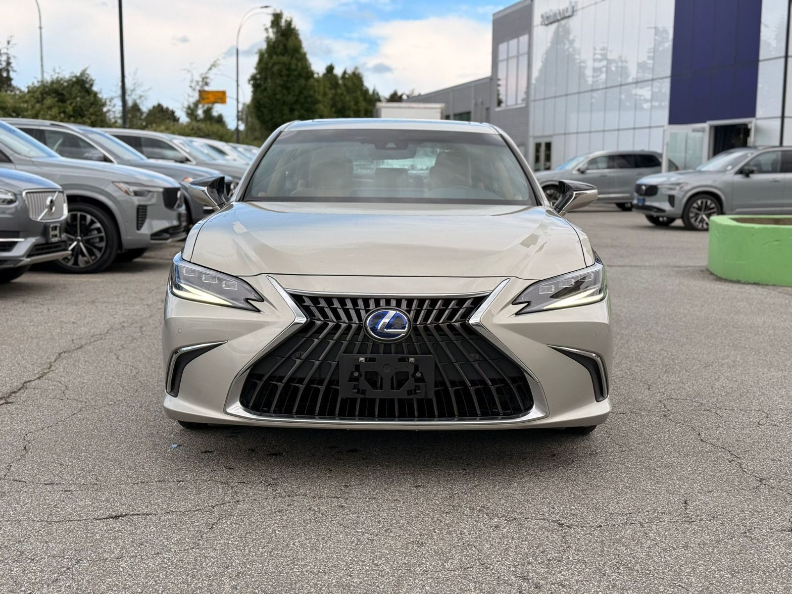 2022 Lexus ES in Richmond, British Columbia