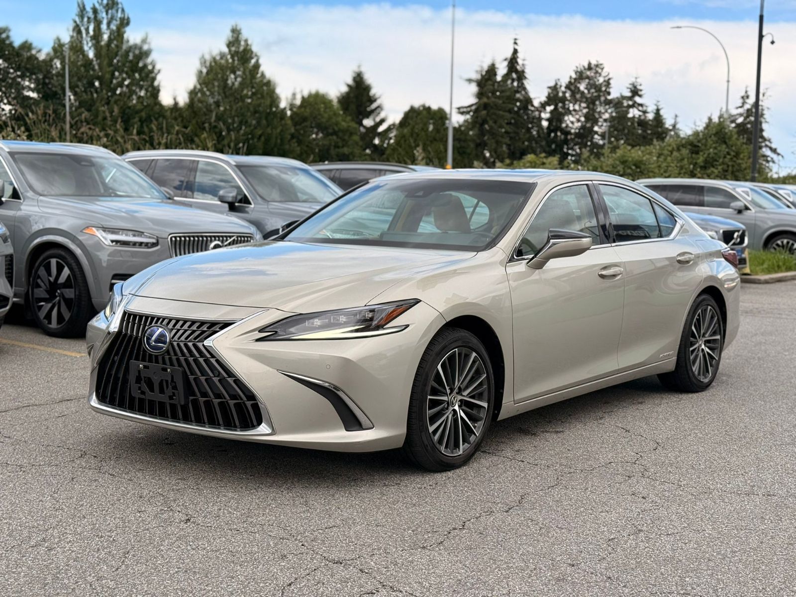 2022 Lexus ES in Richmond, British Columbia