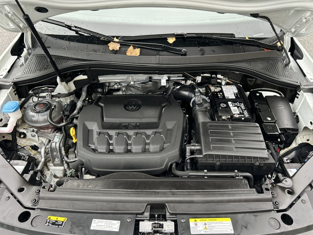 2024 Volkswagen Tiguan in Richmond, British Columbia