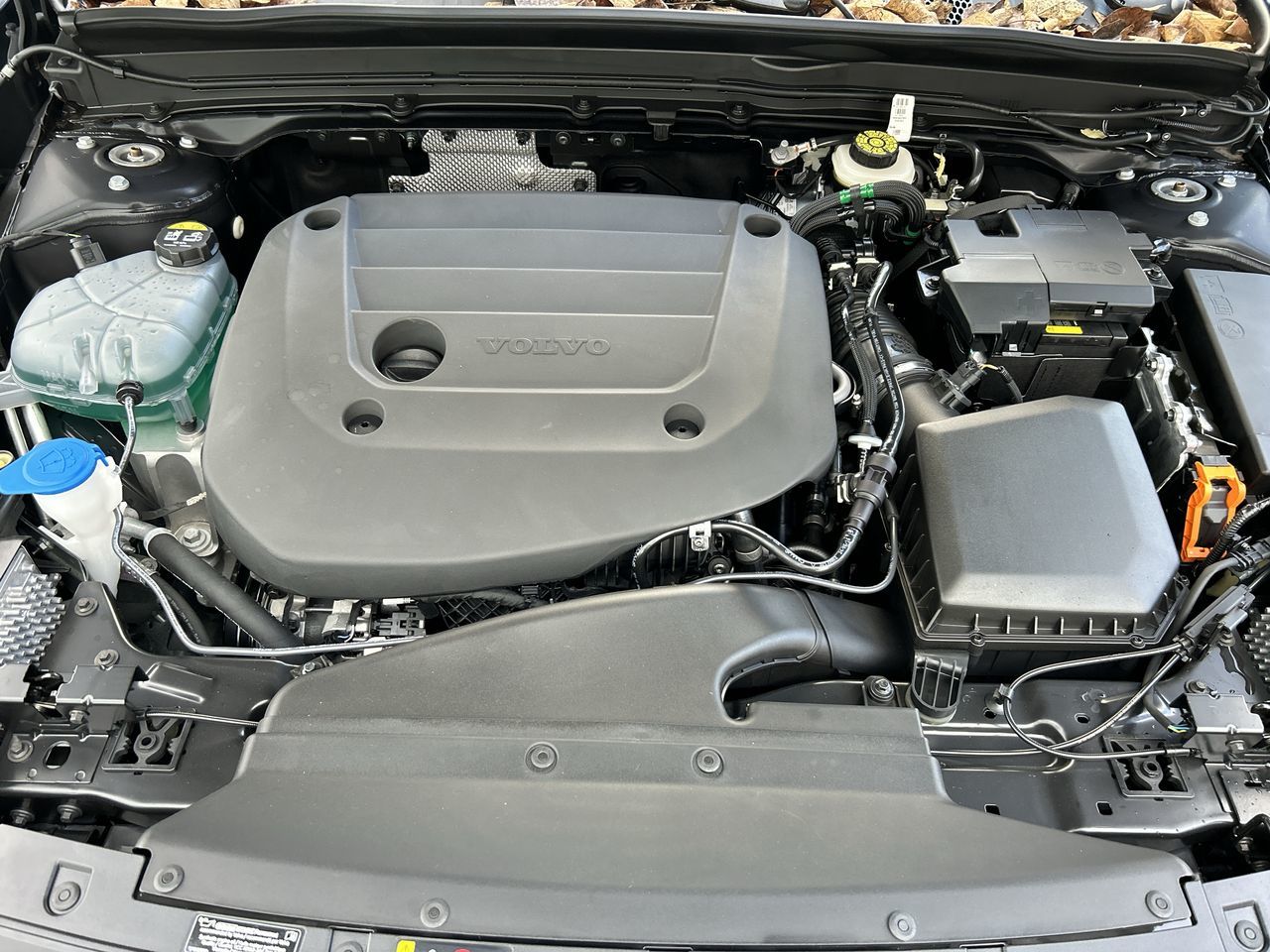 Volvo XC40  2025 à Richmond, Colombie-Britannique