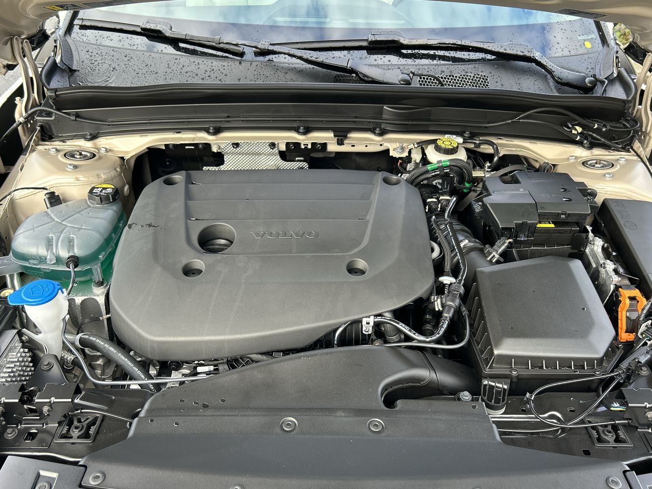 Volvo XC40  2025 à Richmond, Colombie-Britannique