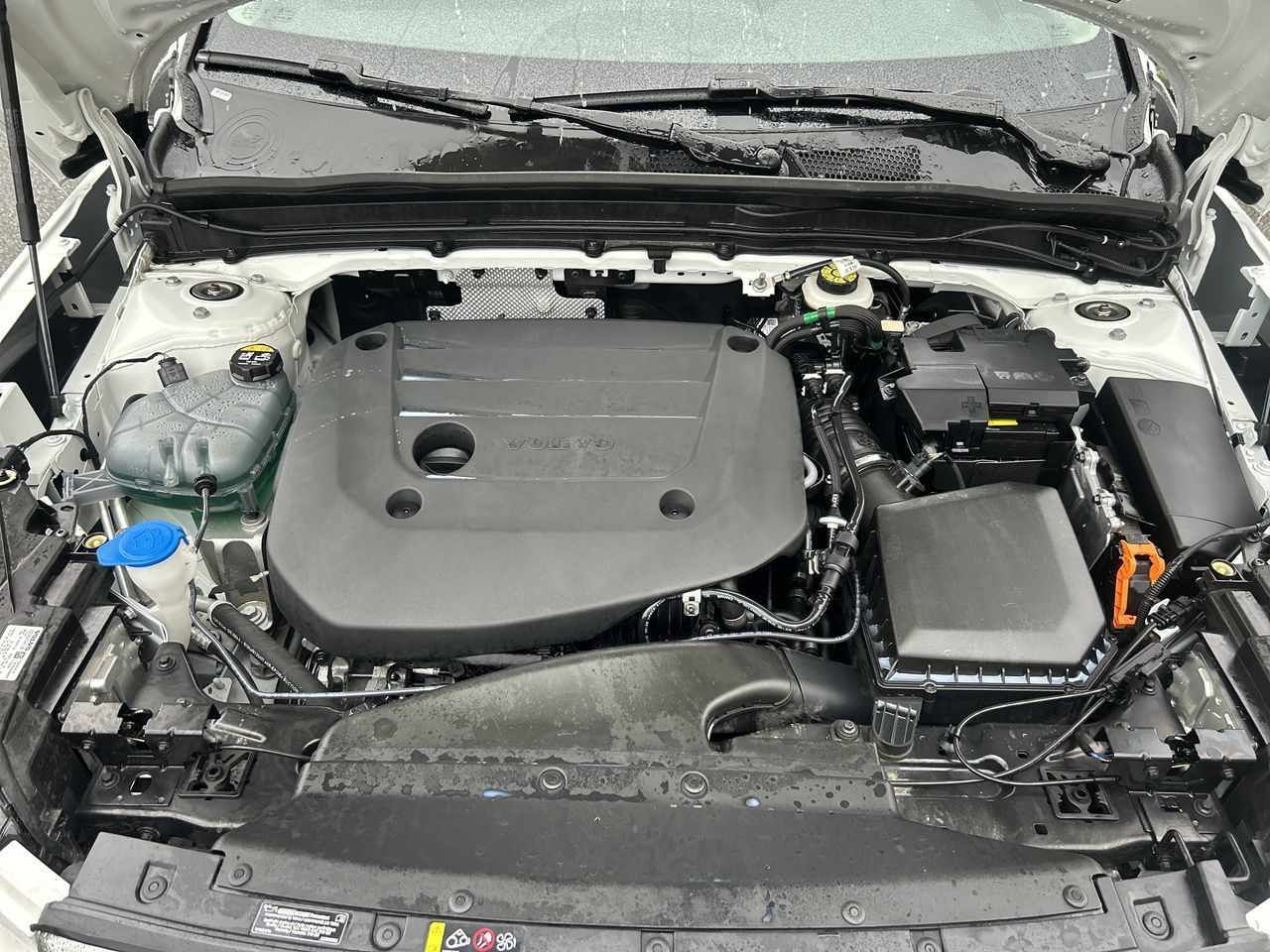 Volvo XC40  2025 à Richmond, Colombie-Britannique