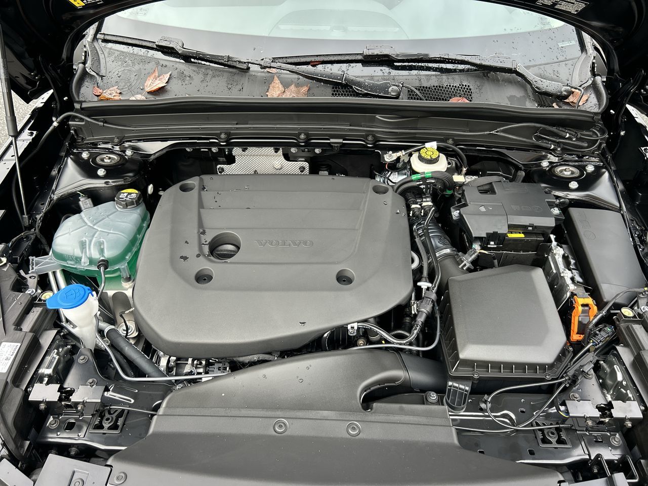 2026 Volvo XC40 in Richmond, British Columbia