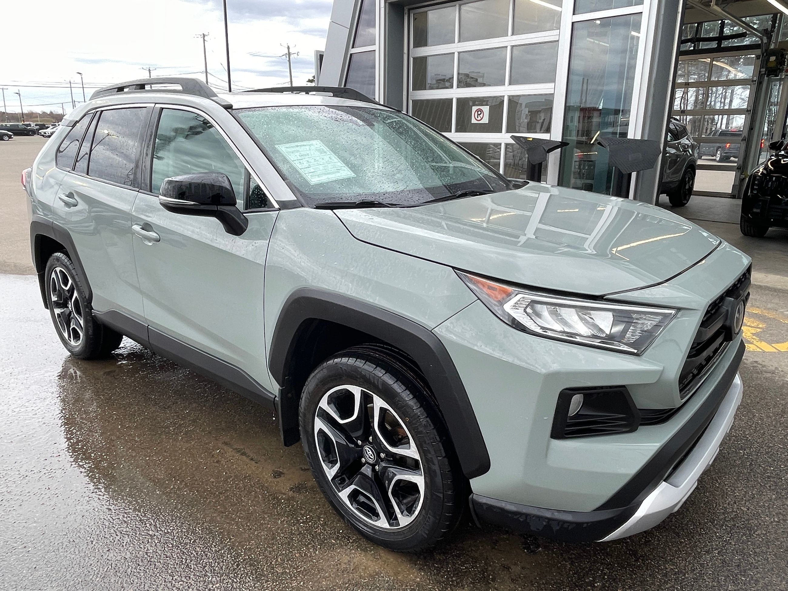 2019 Toyota RAV4 Trail