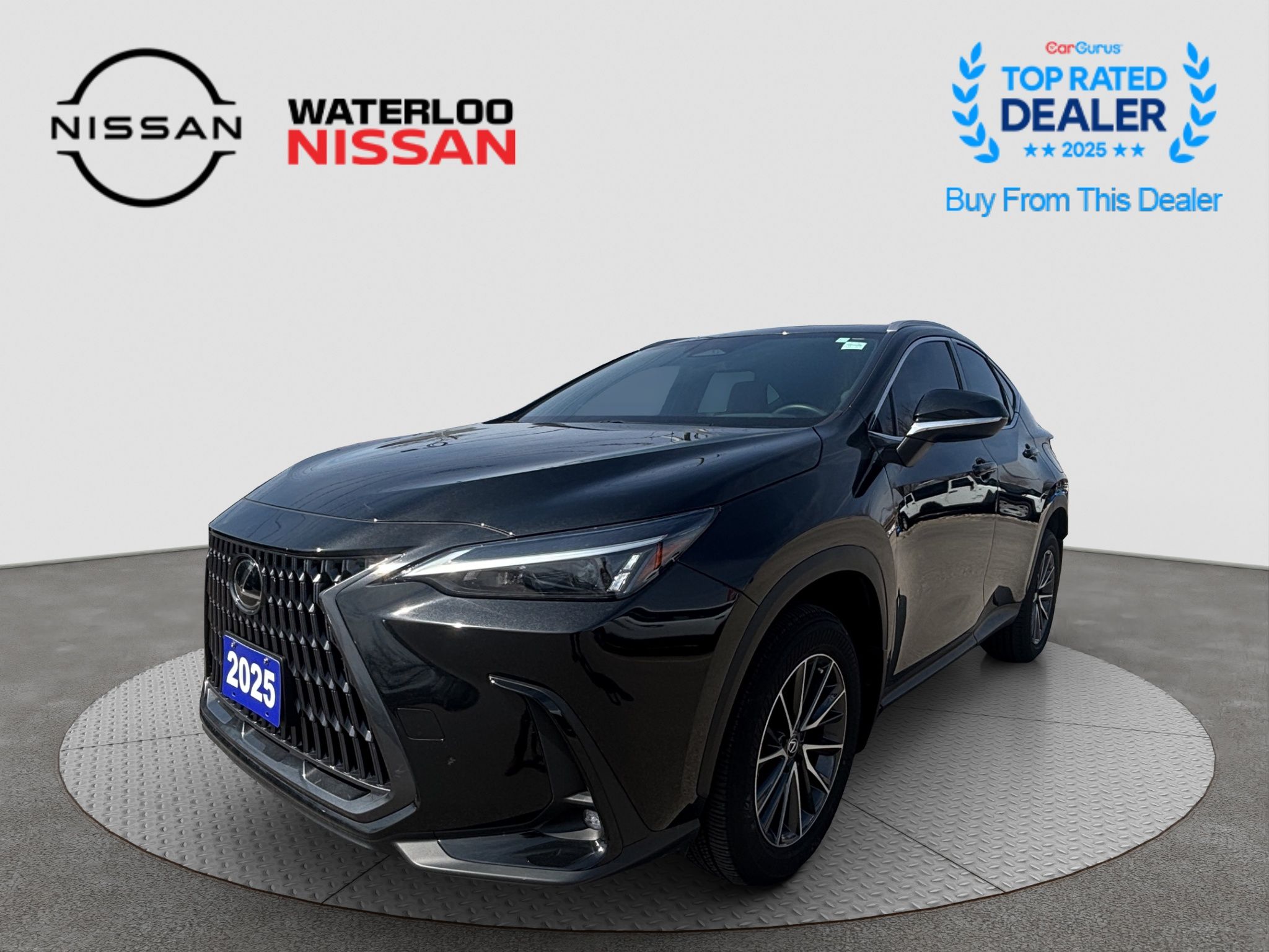 2025 Lexus NX NX 350